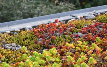the cost of Rudheath Woods green roof installation