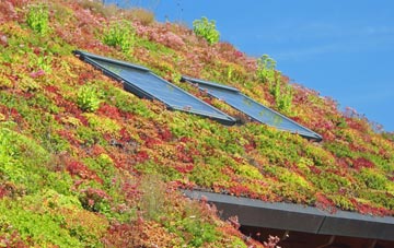 Rudheath Woods living roof systems
