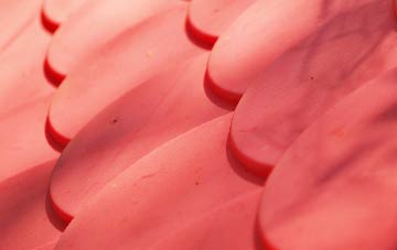 Rudheath Woods plastic roof costs